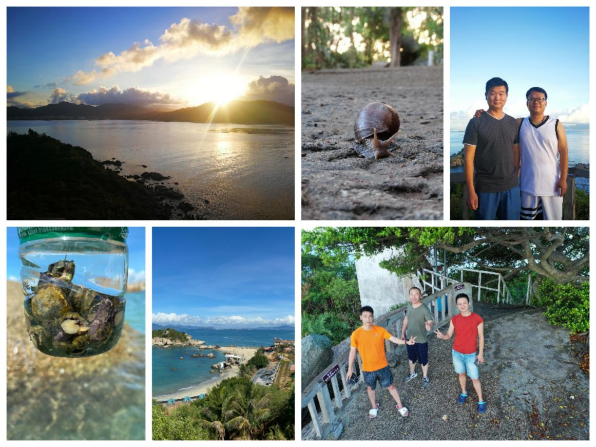 圖片5.png 圖片5.png